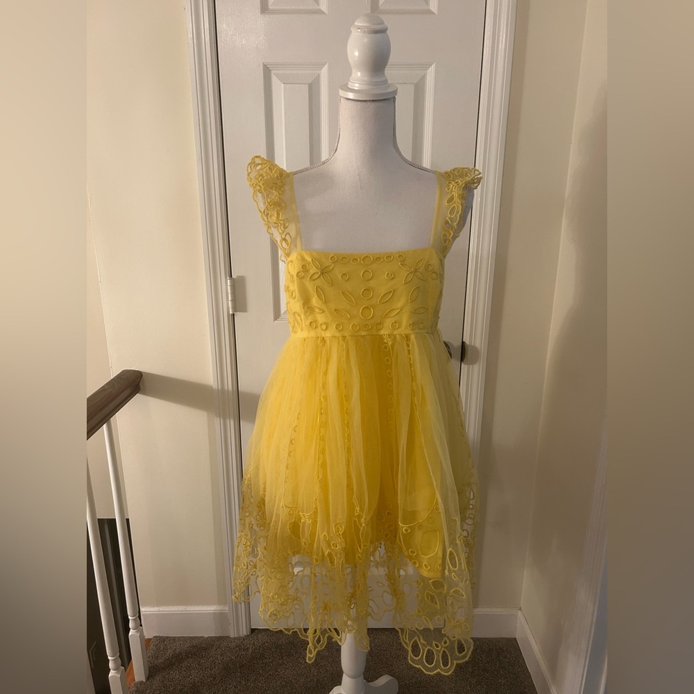 Anthropologie Let Me Be Eyelet Tulle Mini Dress NWT! - Picture 2 of 16